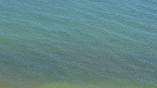 Ocean