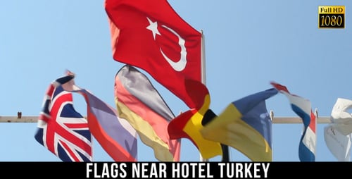 Various National Flags Waving in the Wind