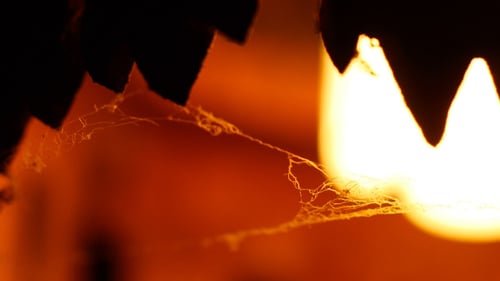 Spiderweb Between Metal and Light Source, Close Up
