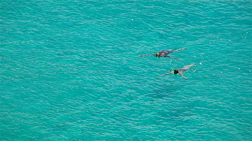 Snorkeling