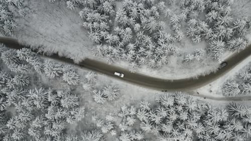 Aerial View of Cars Driving on the Road Through Frozen and Covered with Snow Pine or Spruce Forest