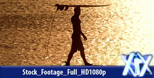 Silhouette of Person Carrying Surfboard on Beach at Sunset