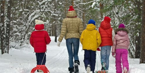 Winter Day Out