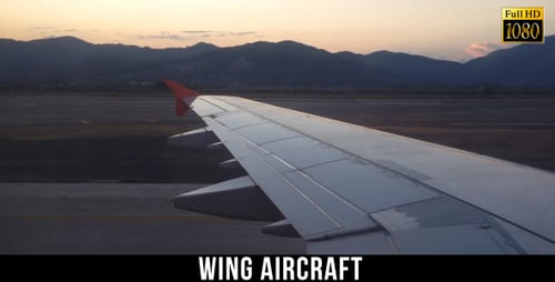 Wing Aircraft 8