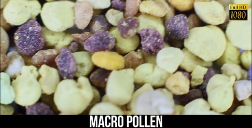 Close Up of Colorful Pollen Grains