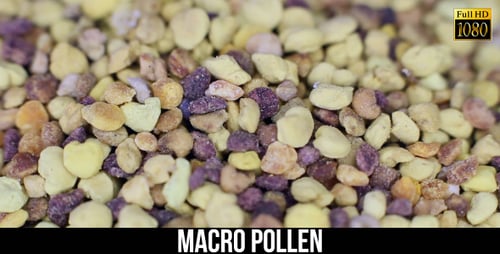 Pollen 2