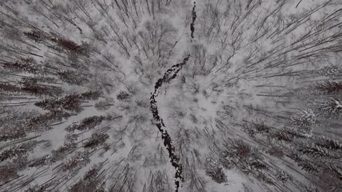 Top View of a River in the Mountains Surrounded By Forest Covered in Snow