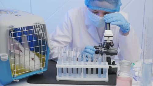 Researcher Examines Sample with Rabbit in Laboratory