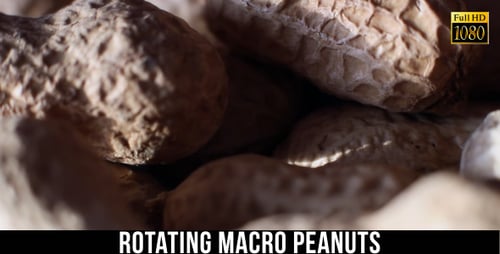 Peanuts in Shells Close Up