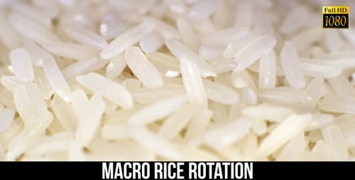 Close Up View of White Rice