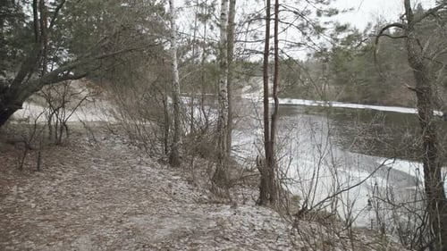 Forest River in Winter
