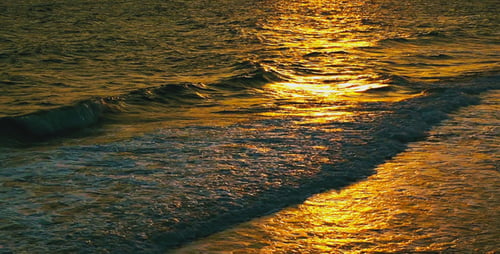The Sea