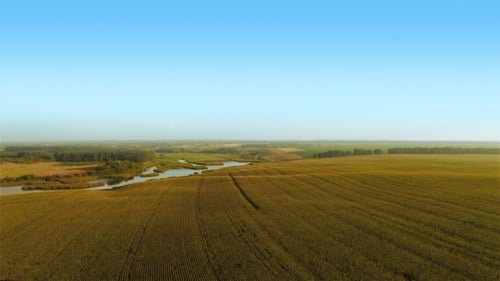 Flying Over Fields