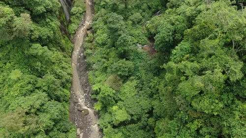 Über den Gebirgsfluss im tropischen Wald fliegen