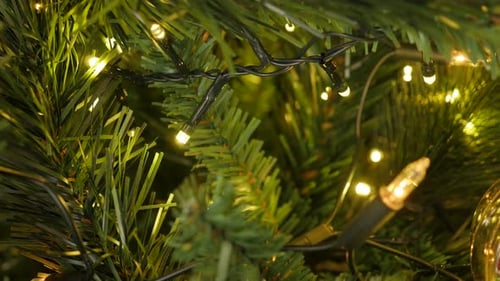 Christmas Tree Branches and Glowing Lights