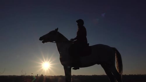 Girl Riding on Their Horse Over a Meadow