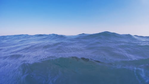 Meer