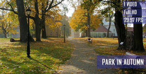 Park im Herbst Landschaftshintergrund