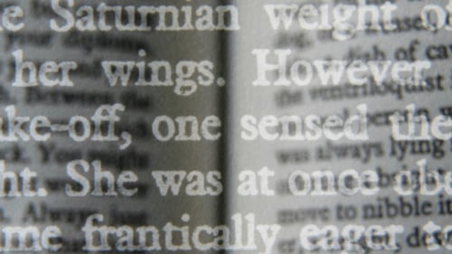 Book Words 03
