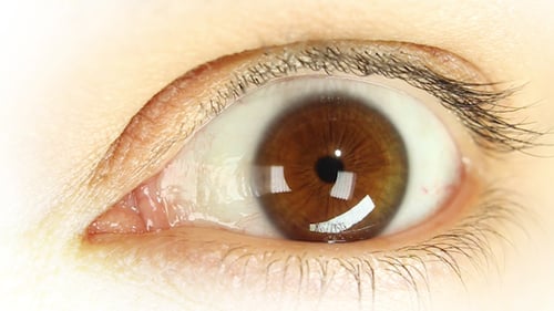 Imma Augen 07