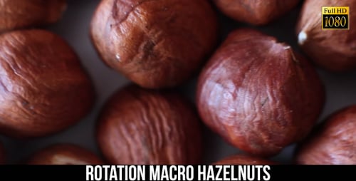 Macro View of Fresh Whole Hazelnuts