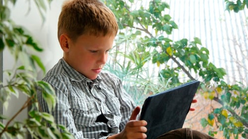Boy Using Tablet by Window at Home