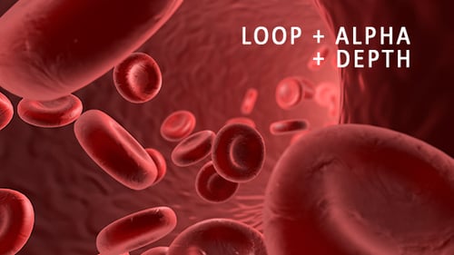 Flowing Red Blood Cells