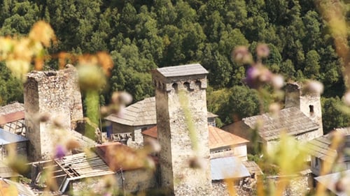 Historic Stone Towers Nestled Among Green Trees