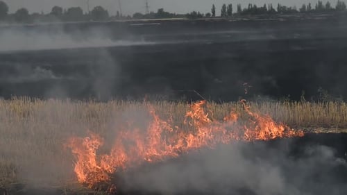 Пожар на сельскохозяйственном поле