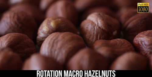 Rotation Hazelnuts 2