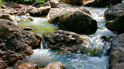 Waterfall In Summer Woods