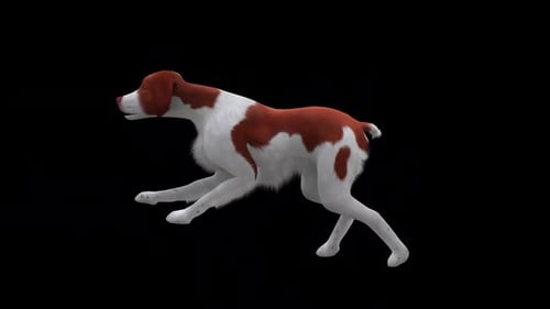 Brittany Run Side View