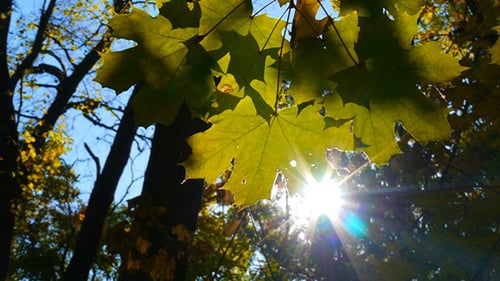 Otoño