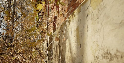 Abandoned Red Brick Building 8