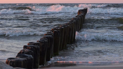 Sea & Wood