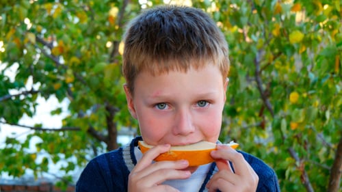 Jeune garçon mangeant du melon sain