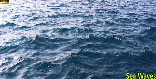 Sea Waves