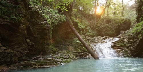 Waterfall in the Forest