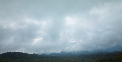 Fog Clouds