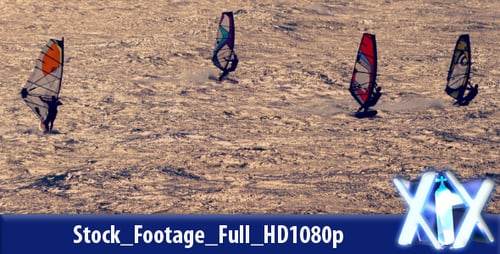 Windsurfers
