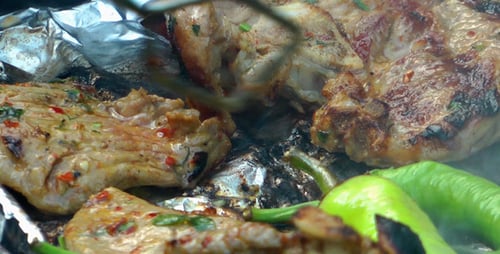 Meat Cook on Barbecue 2