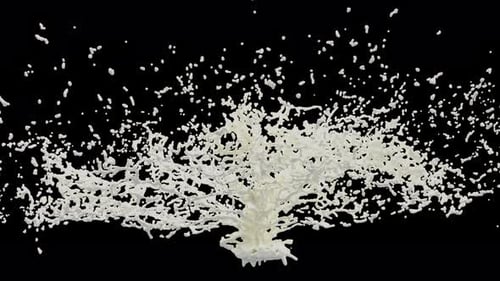 Milch Splash