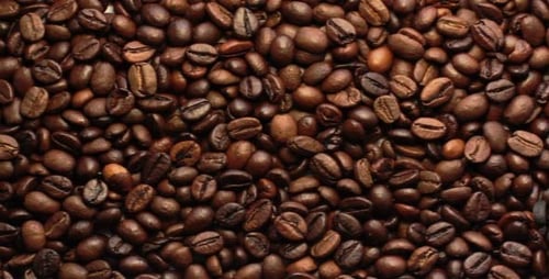 Close Up of Roasted Brown Coffee Beans