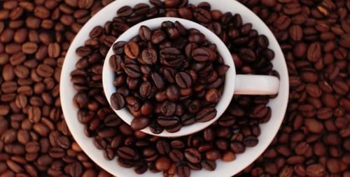 Roasted Coffee Beans in a White Coffee Cup