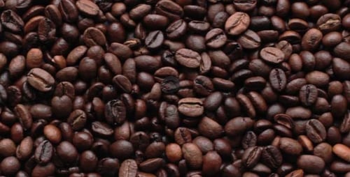 Coffee Beans In Motion (2 in 1)