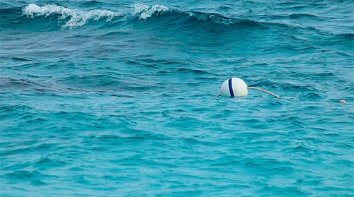 Buoy Floating in Beautiful Turquoise Ocean Water