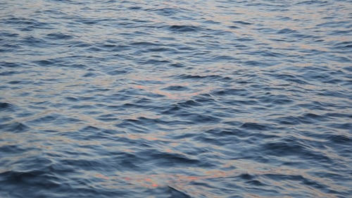 Sea Waves