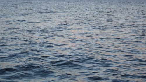 Sea Waves