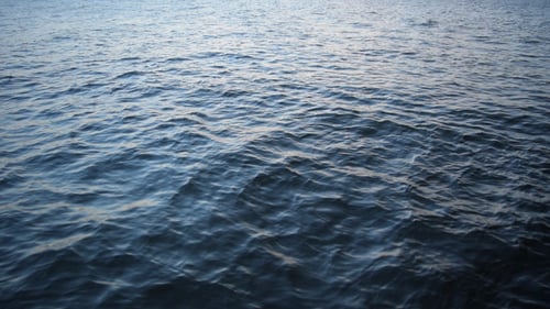 Sea Waves
