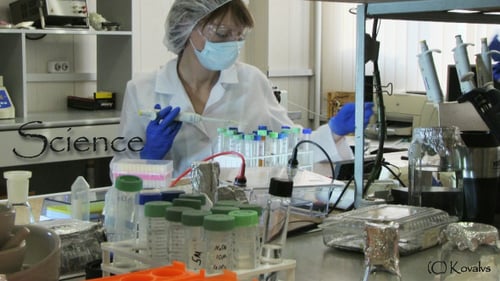 Scientist Working with Test Tubes in Laboratory
